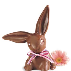 chocolatebunny.jpg